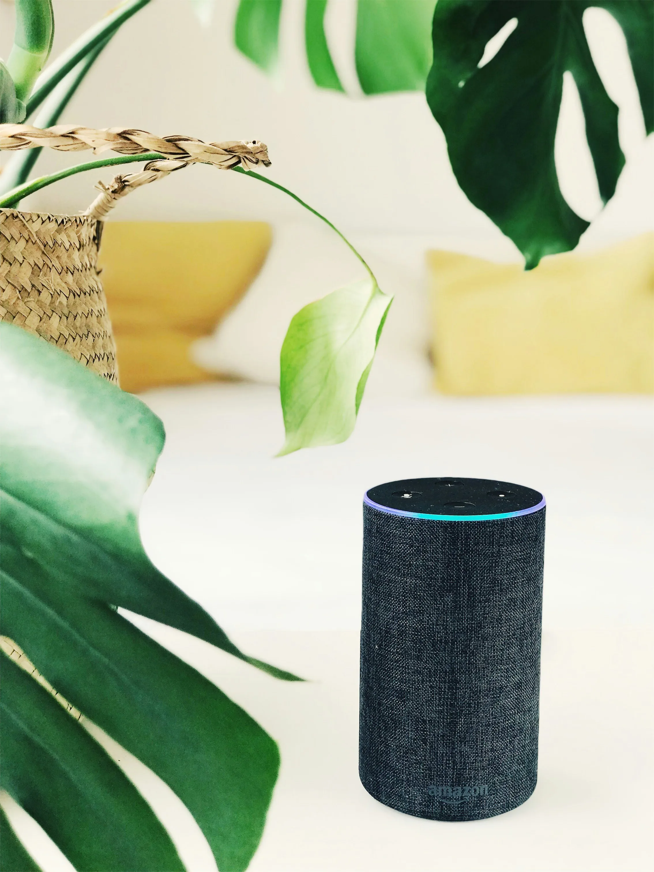 online voice assistant