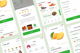 Ui Ux Design