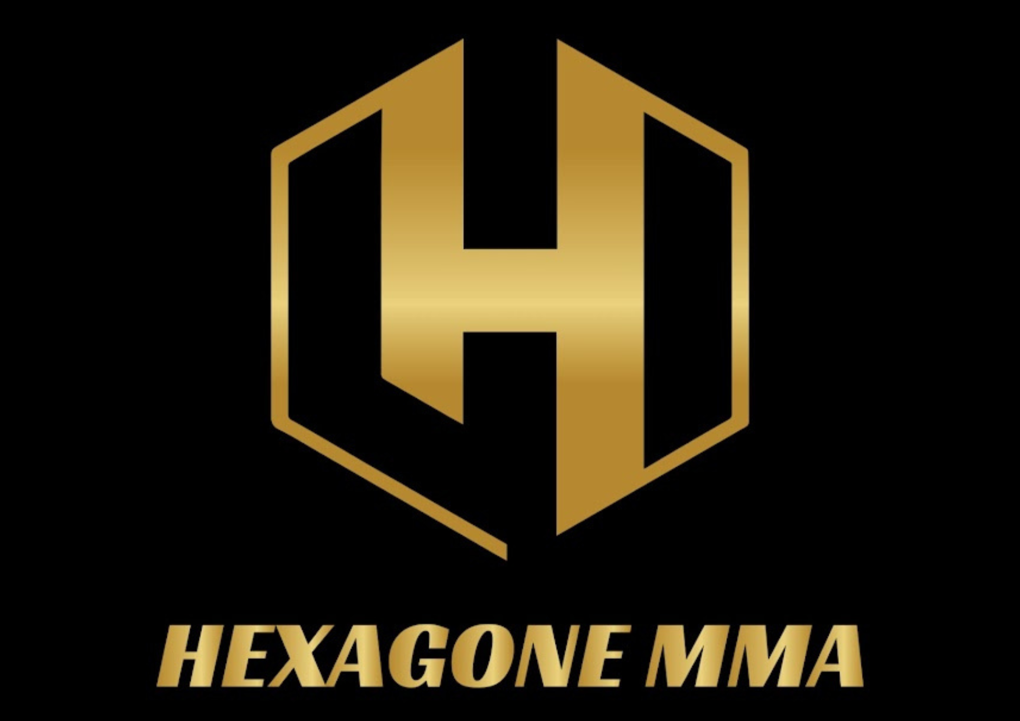Hexagone MMA : L'organisation qui propulse le MMA français sur la scène mondiale
