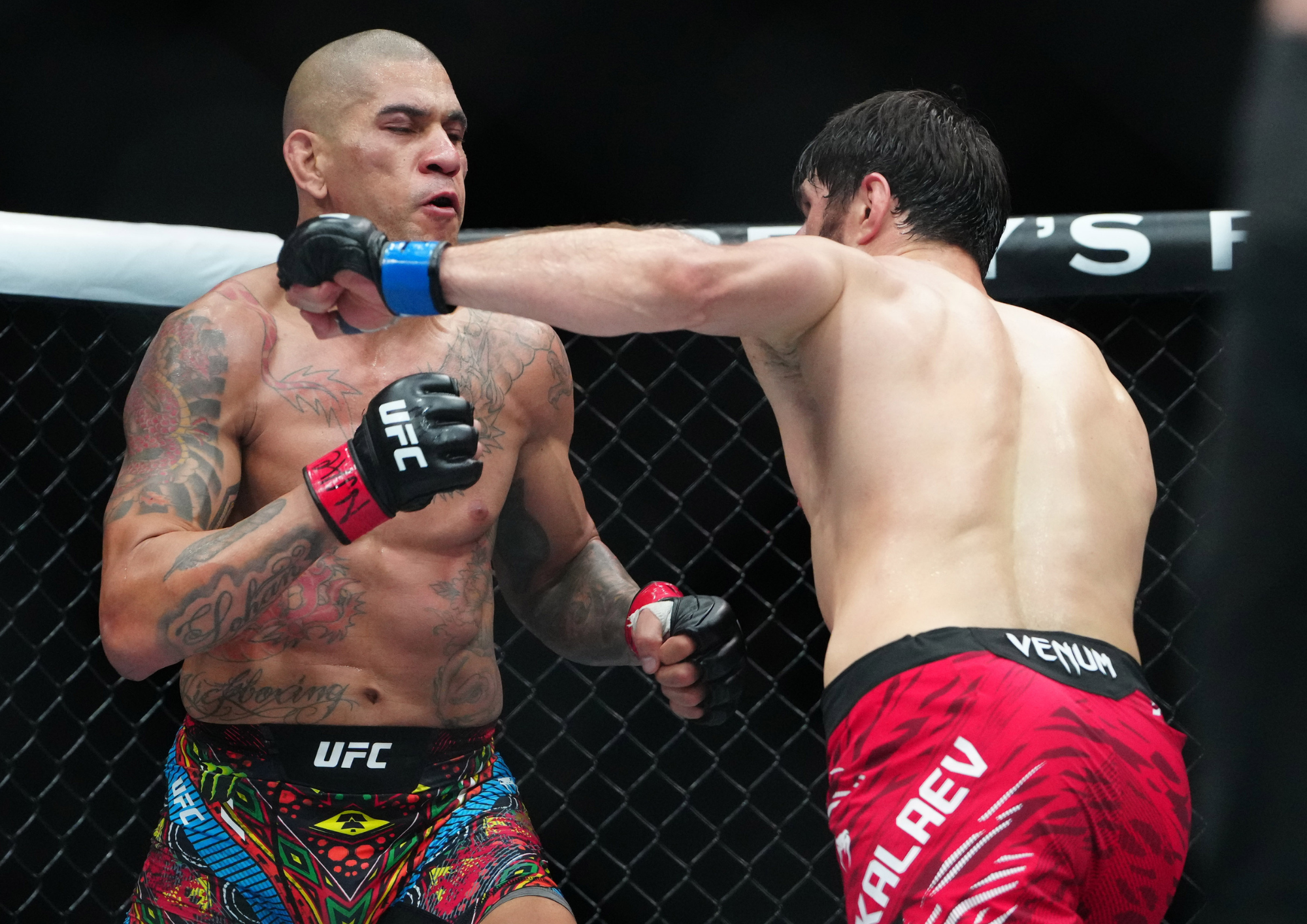 UFC 320 : Alex Pereira reprend sa ceinture de manière époustouflante