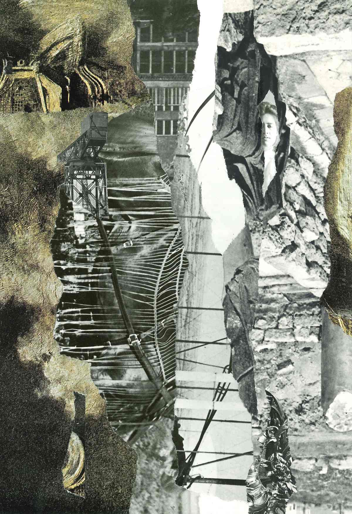 Rope Bridge