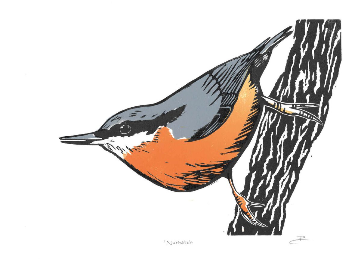 Nuthatch