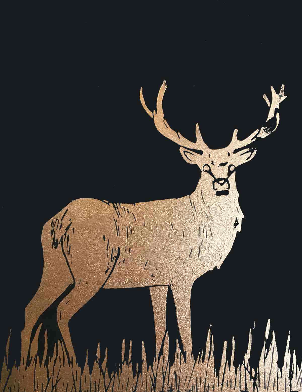Stag