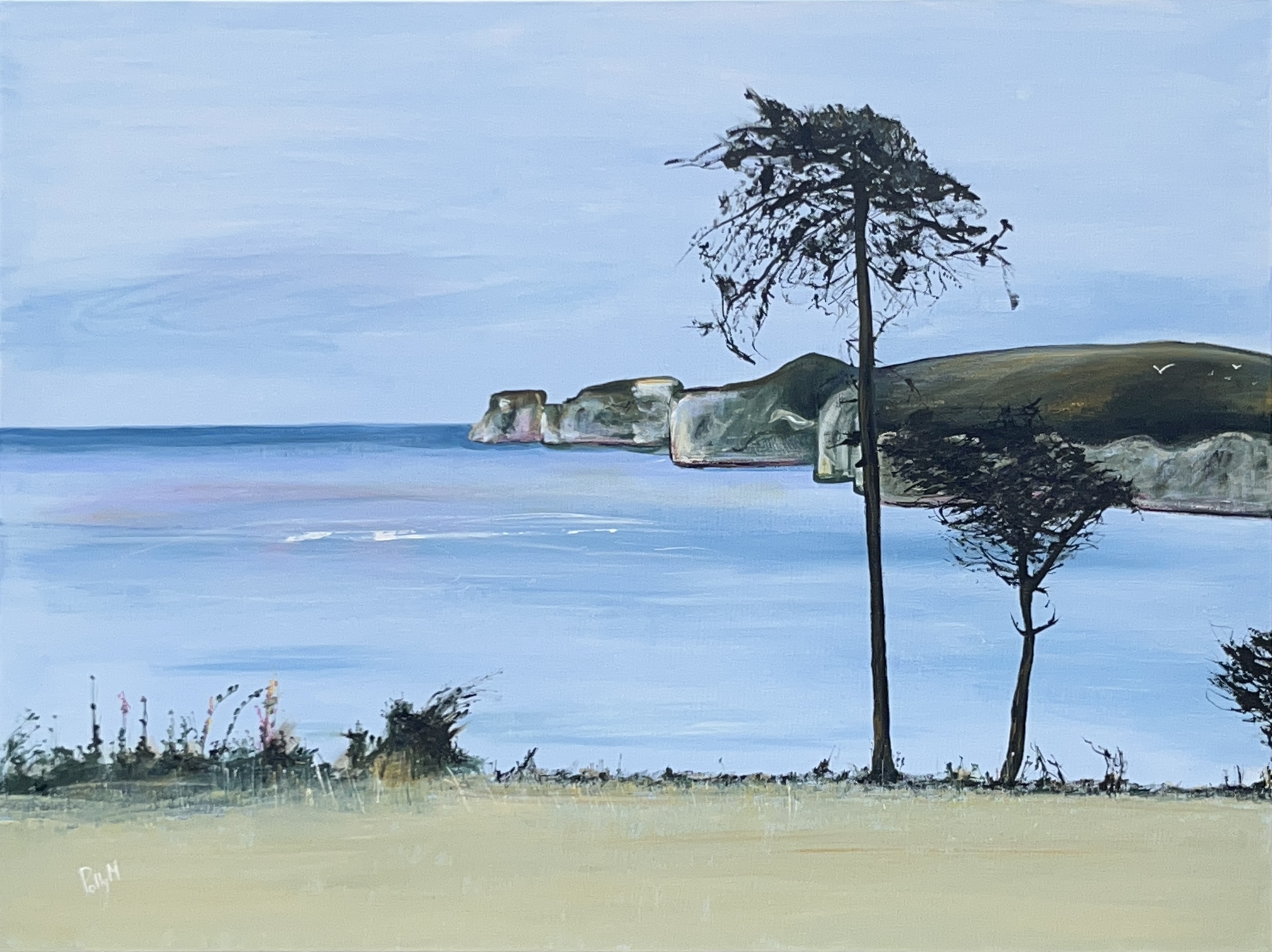 #112 Studland Bay