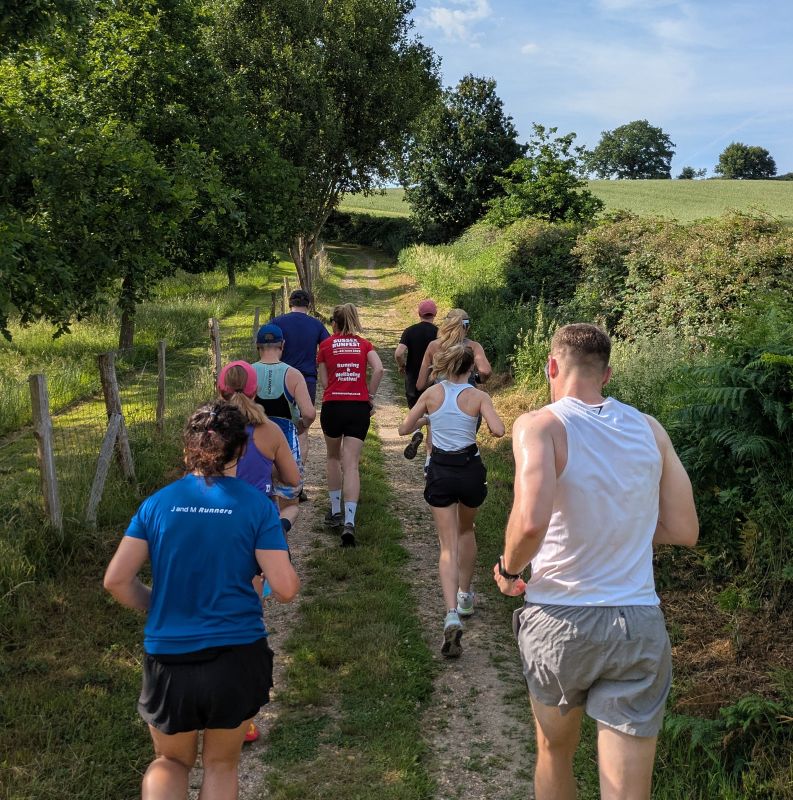 A group of runners heading along a grassy trail between hedgerows and fields