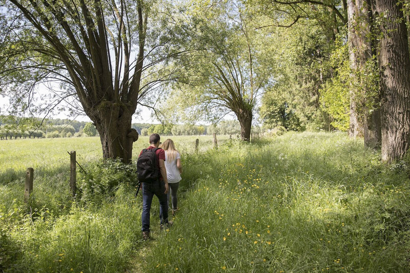 veld geraardsbergen