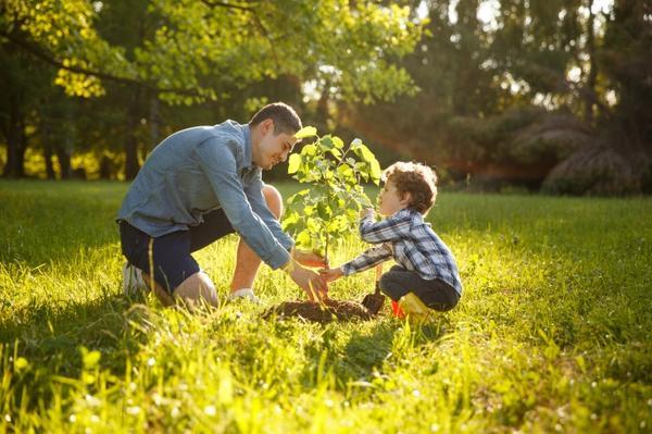 Man and boy planting a tree