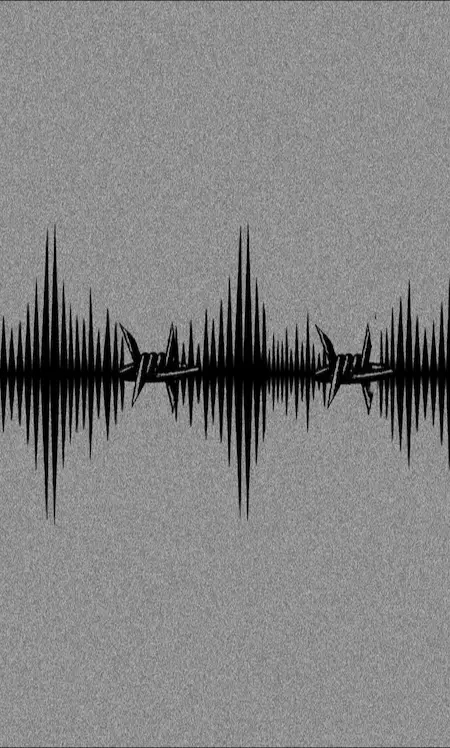 BEYOND BARBED WIRE: THE FUTURE OF BORDER SECURITY WITH RF AND SMART WALLS