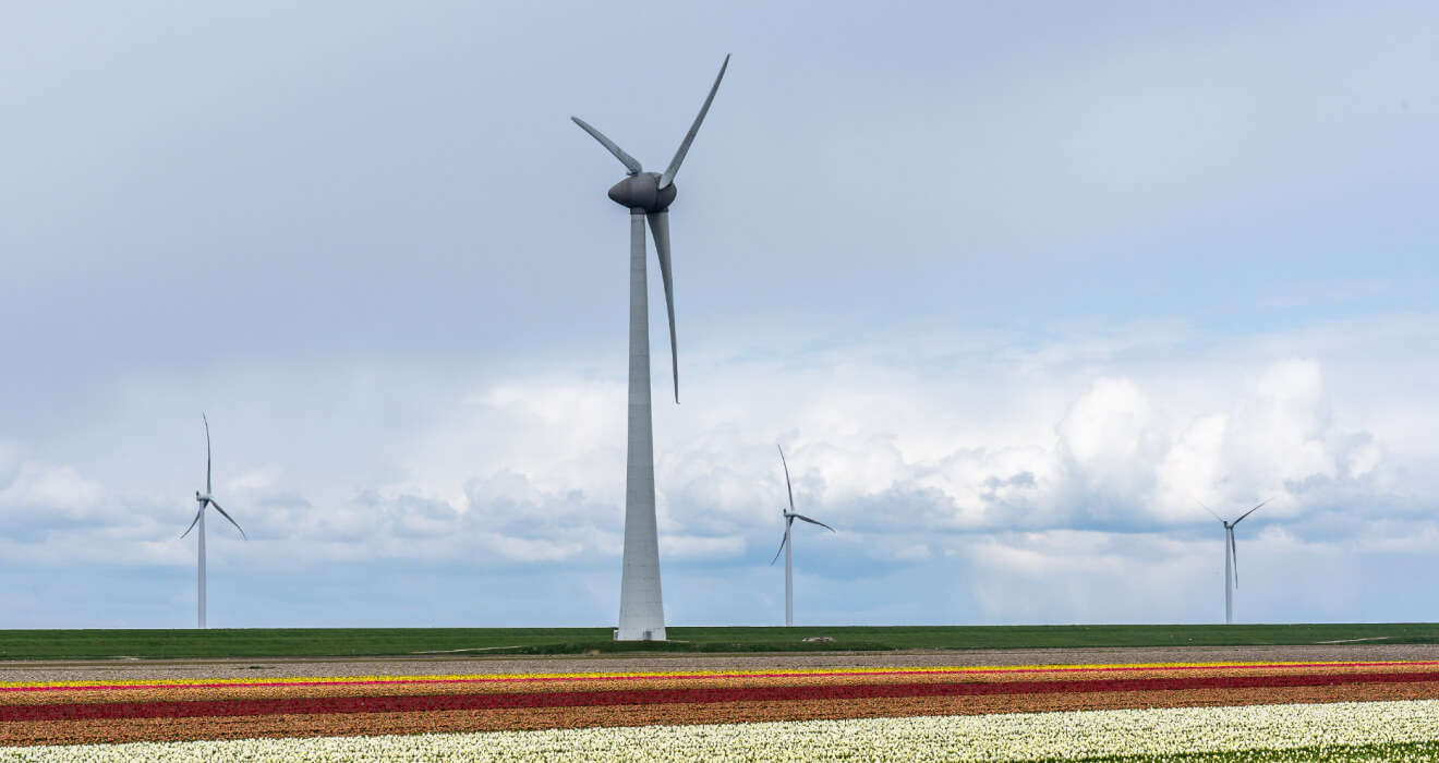 Project Details Image