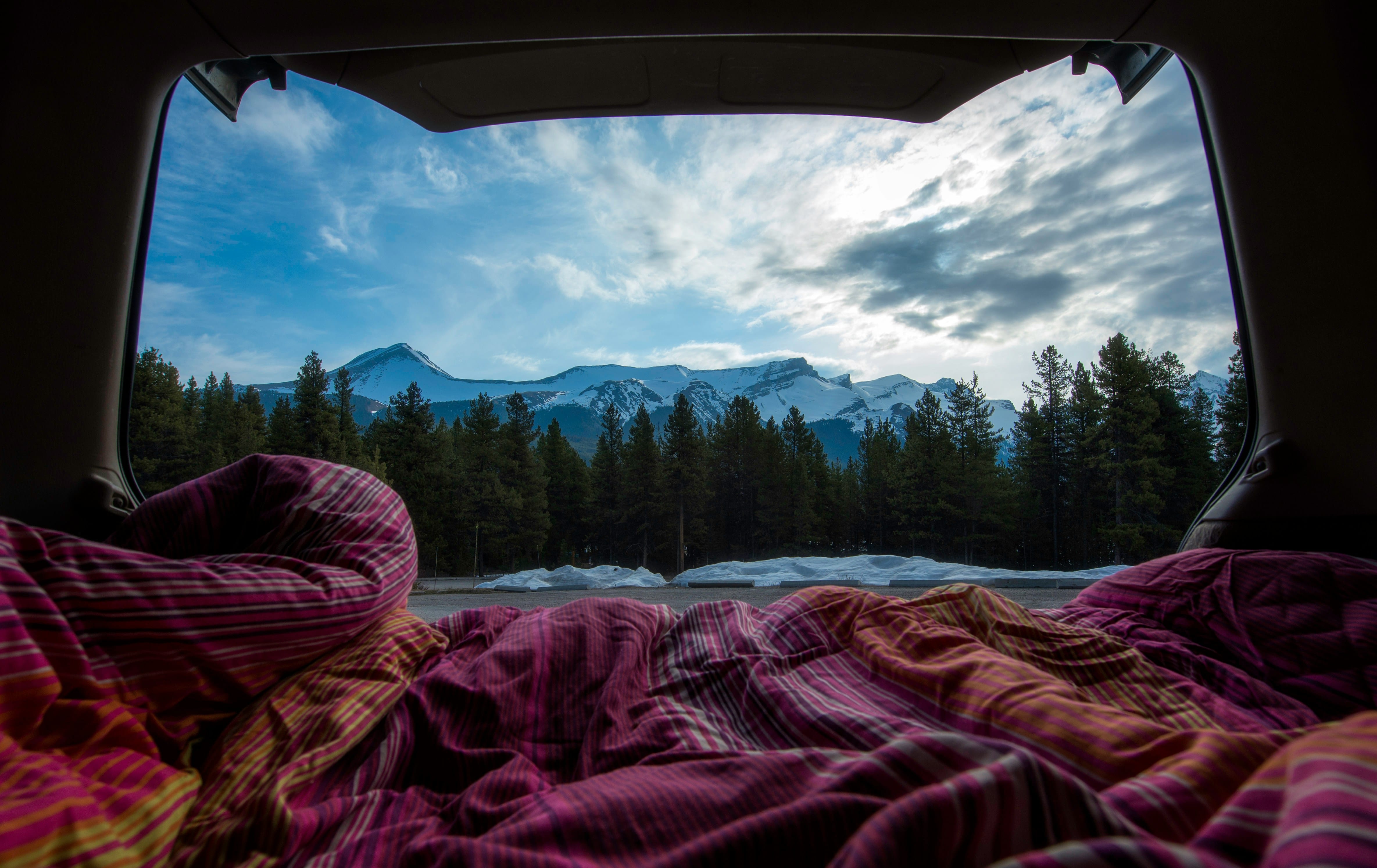 SUV Camping Setup Guide for Beginners