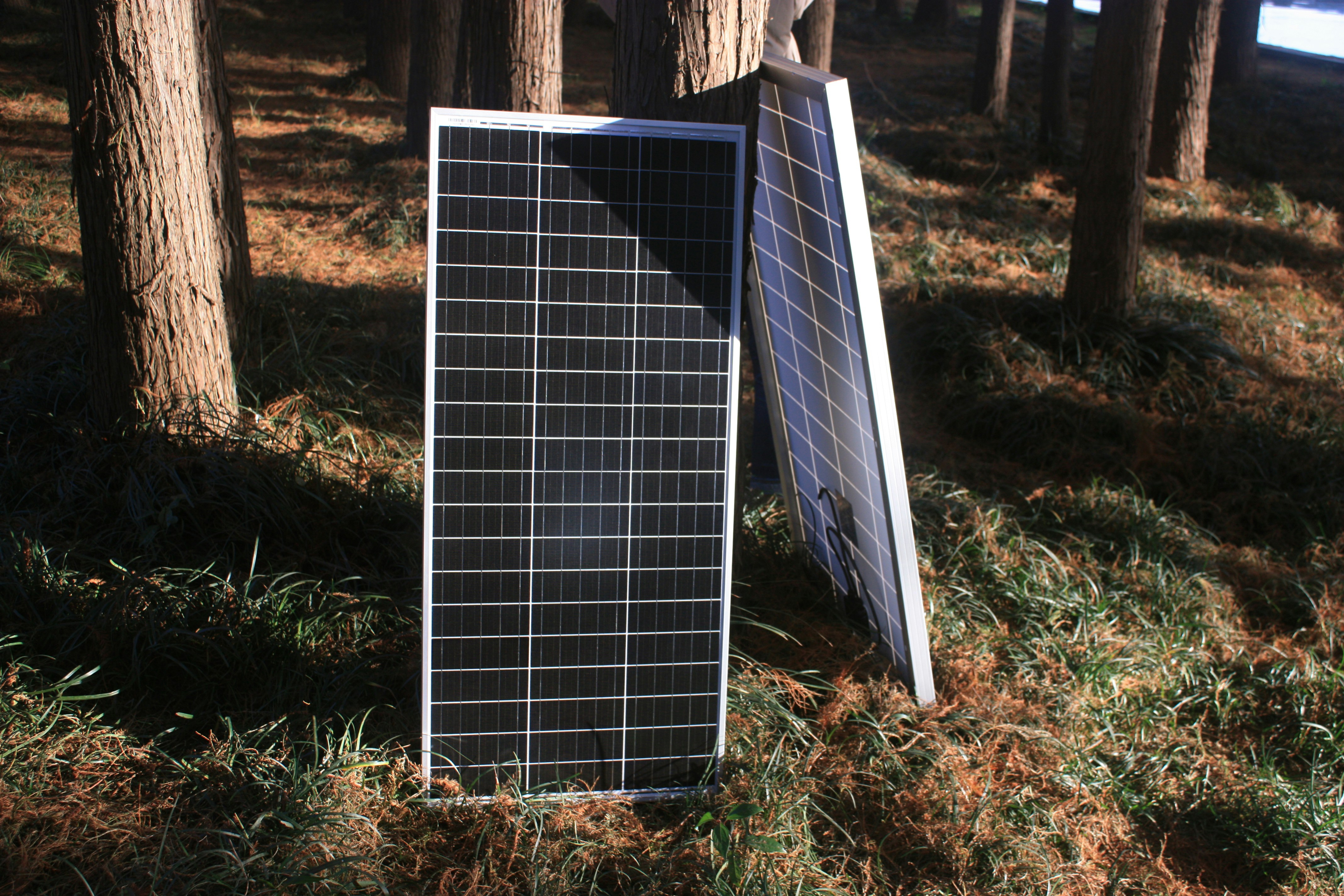 RV Solar Panels Guide: Power Your Adventures Off the Grid