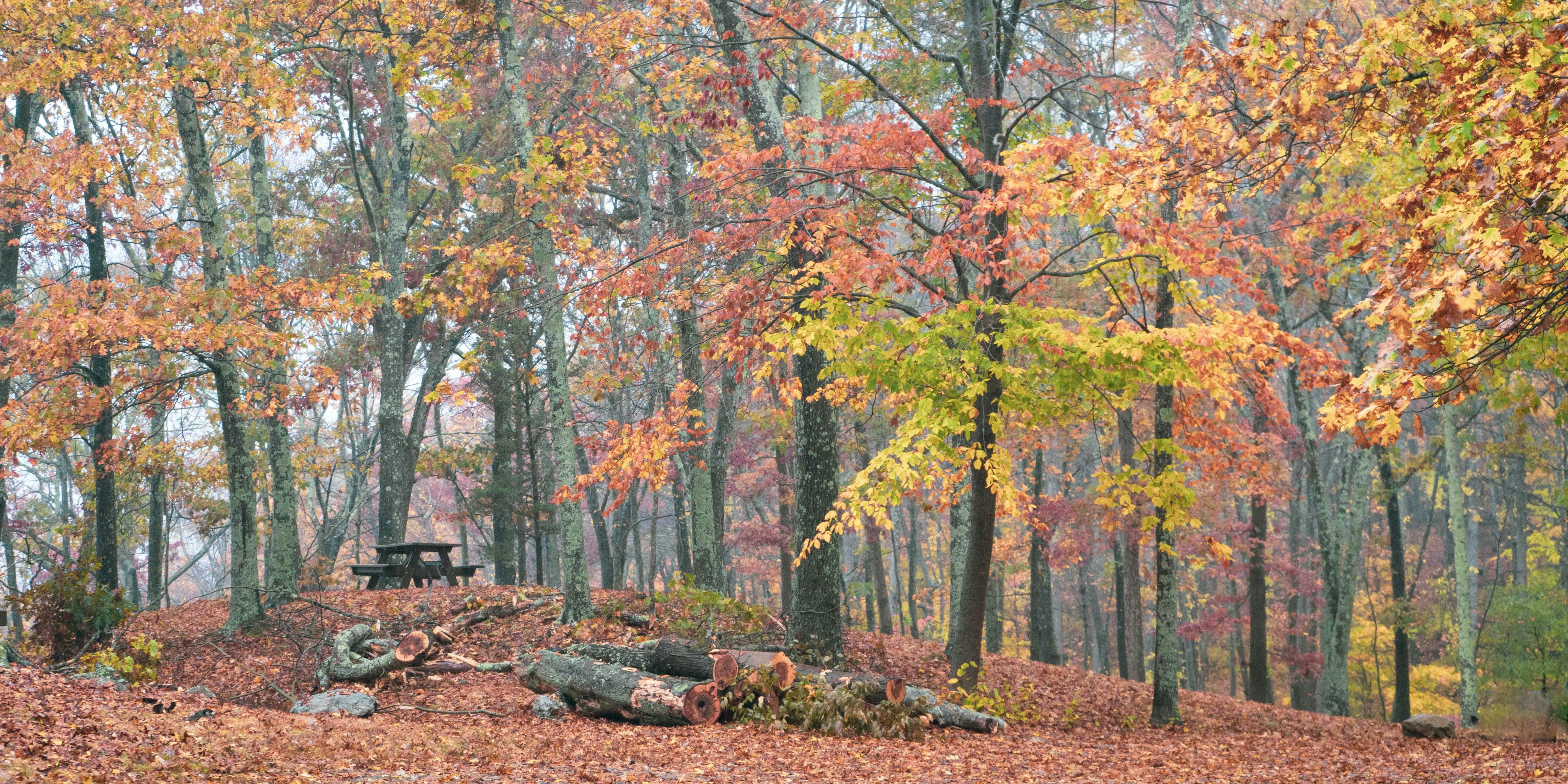 What Makes New England Perfect for RV Camping