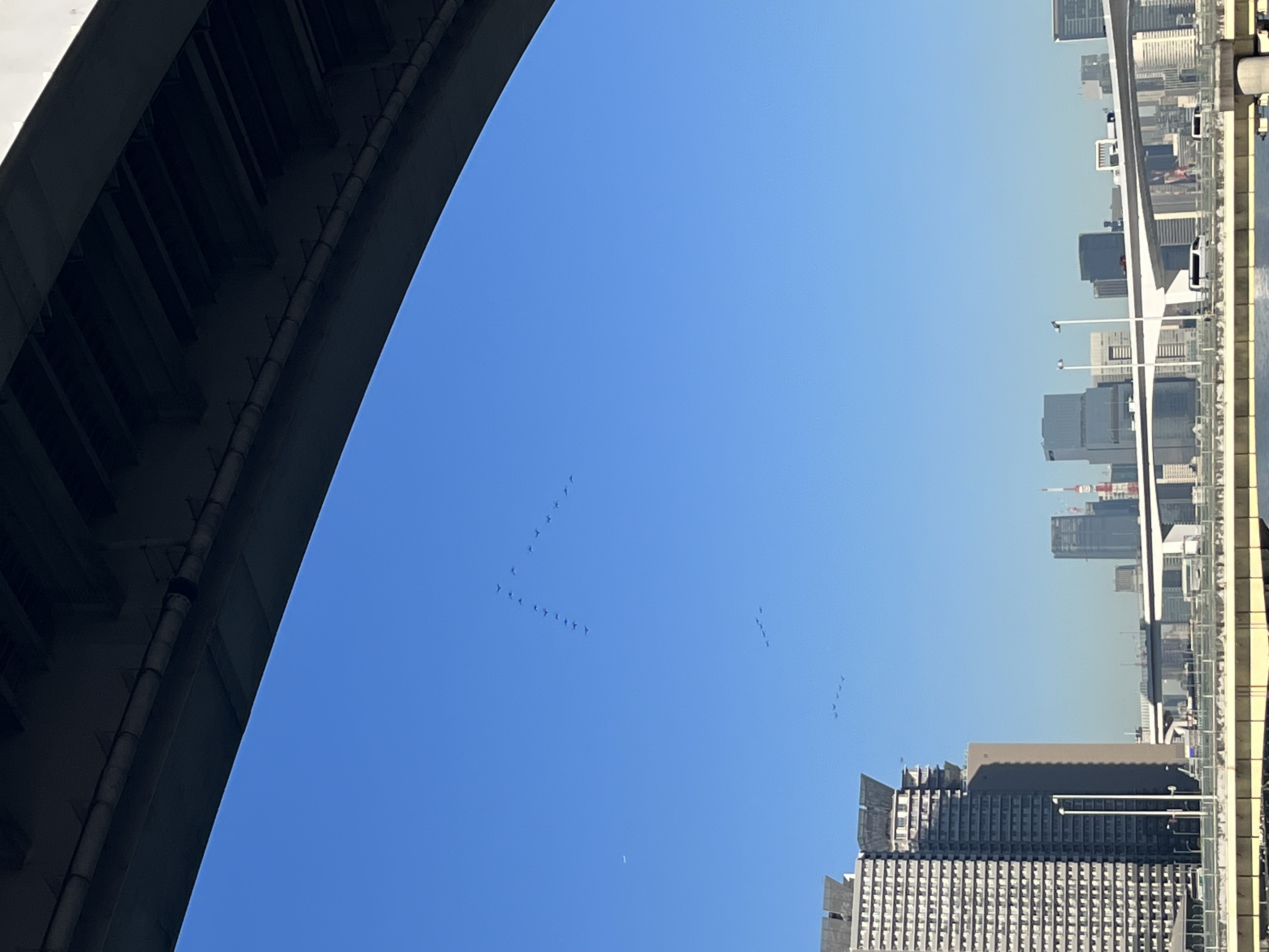 今年もお世話になりました。