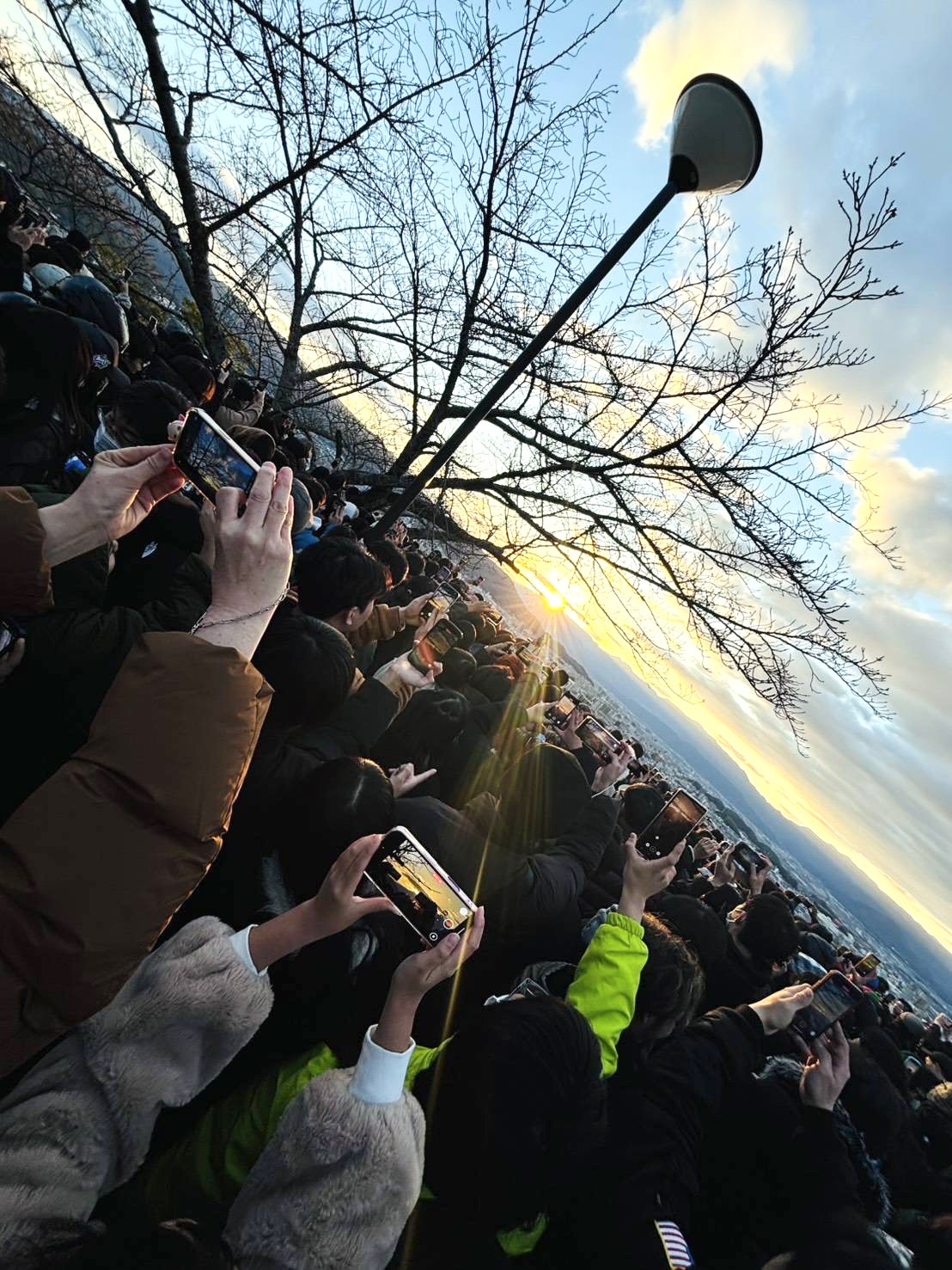 令和八年が始まりました