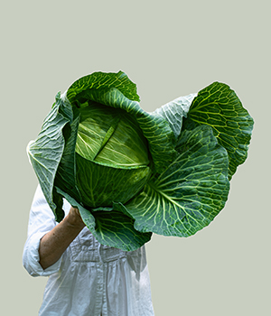 Footer image 02