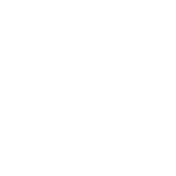 Button text