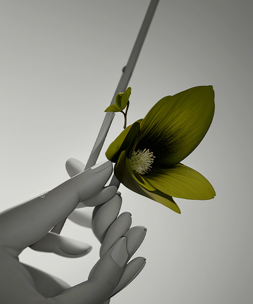 About image 03