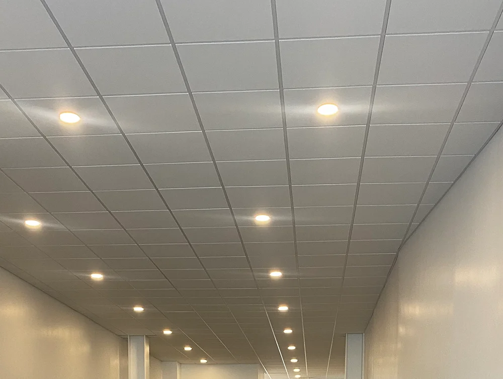 Ceiling of a hair salon remodeled by Global Arch Construction