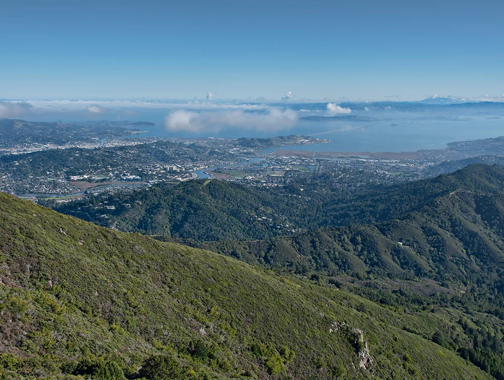 Distant View of Corte Madera Creek as it Winds its Way Into the San Francisco Bay