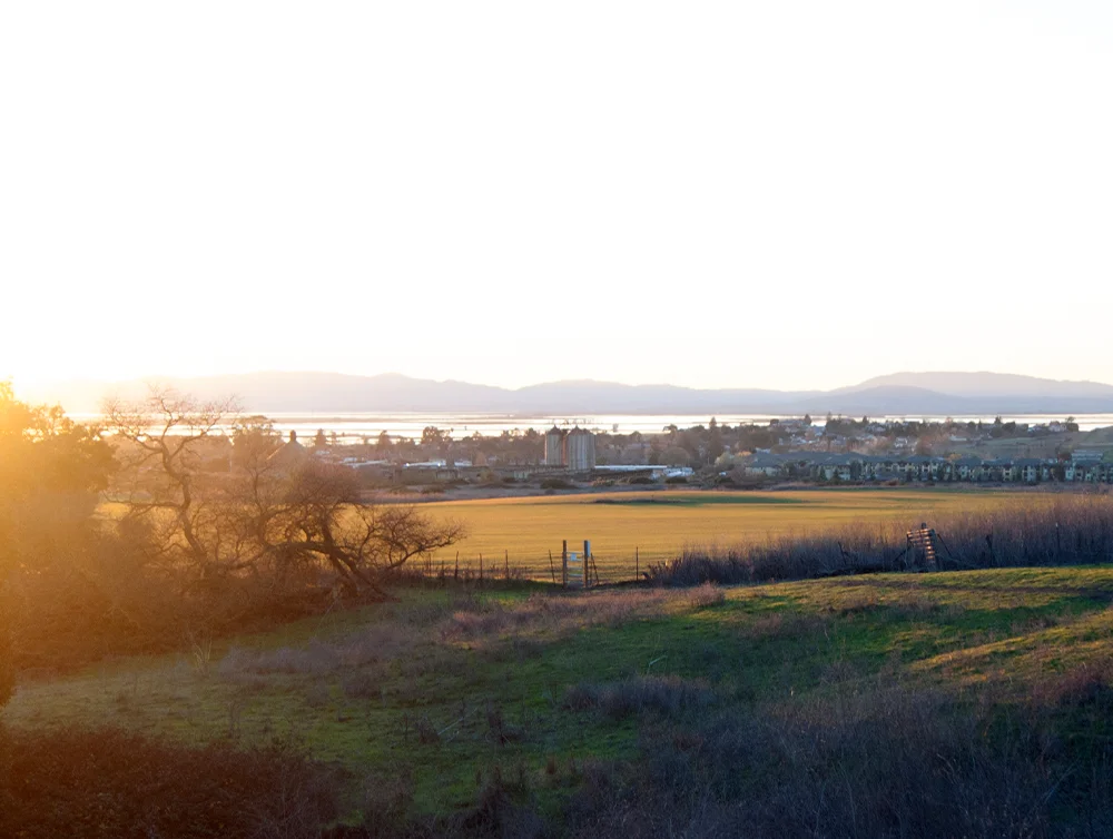 View of American Canyon, CA from Newell Open Space Preserve
