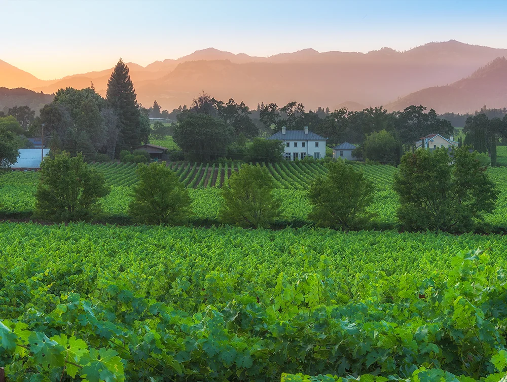 Sunset in the Napa Valley
