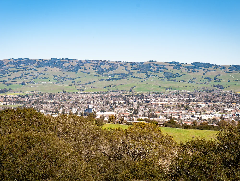 small town petaluma outlook hills