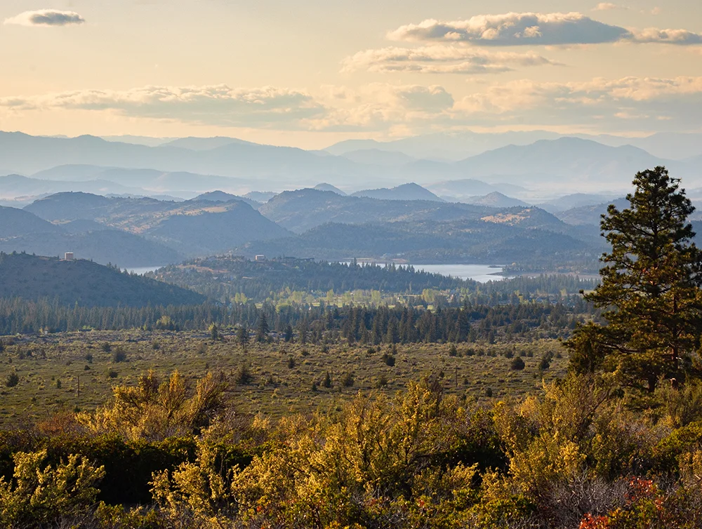 Shasta-Trinity National Forest in Northern California