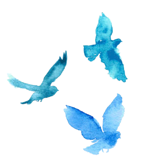 Watercolor illustration of three blue birds flying in different directions on a transparent background.
