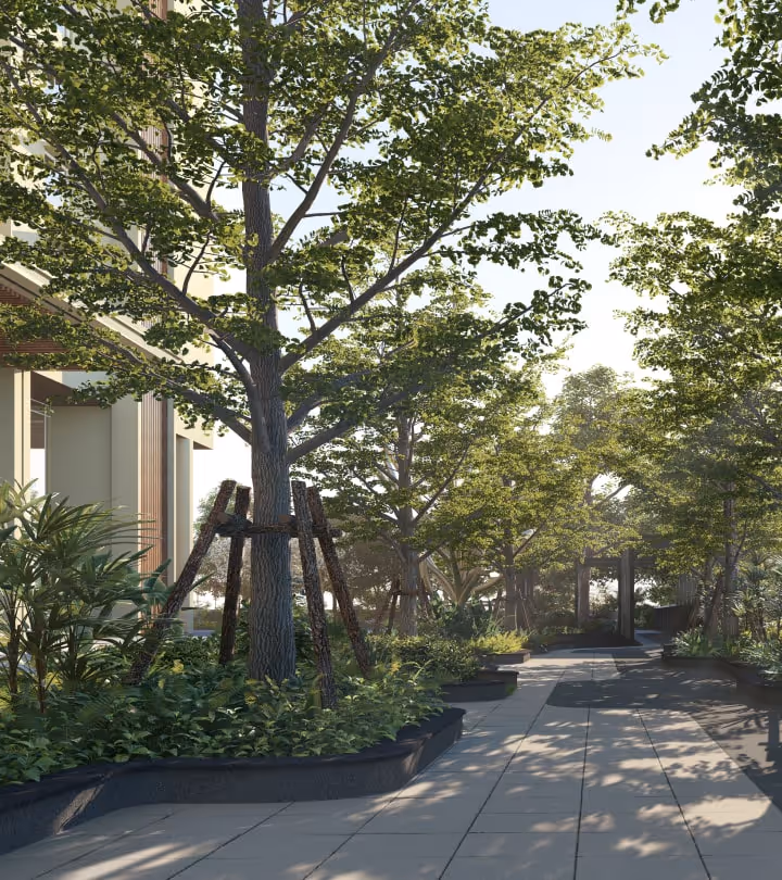 Sunlit paved walkway lined with green trees and plants beside a modern building.