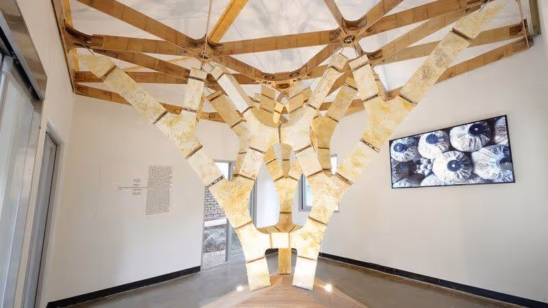 Obraz zawierający ściana, sztuka, w pomieszczeniu, aranżacja wnętrzZawartość wygenerowana przez AI może być niepoprawna.