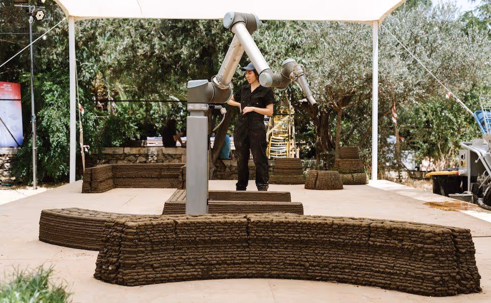 Obraz zawierający drzewo, na wolnym powietrzu, ubrania, roślinaZawartość wygenerowana przez AI może być niepoprawna.