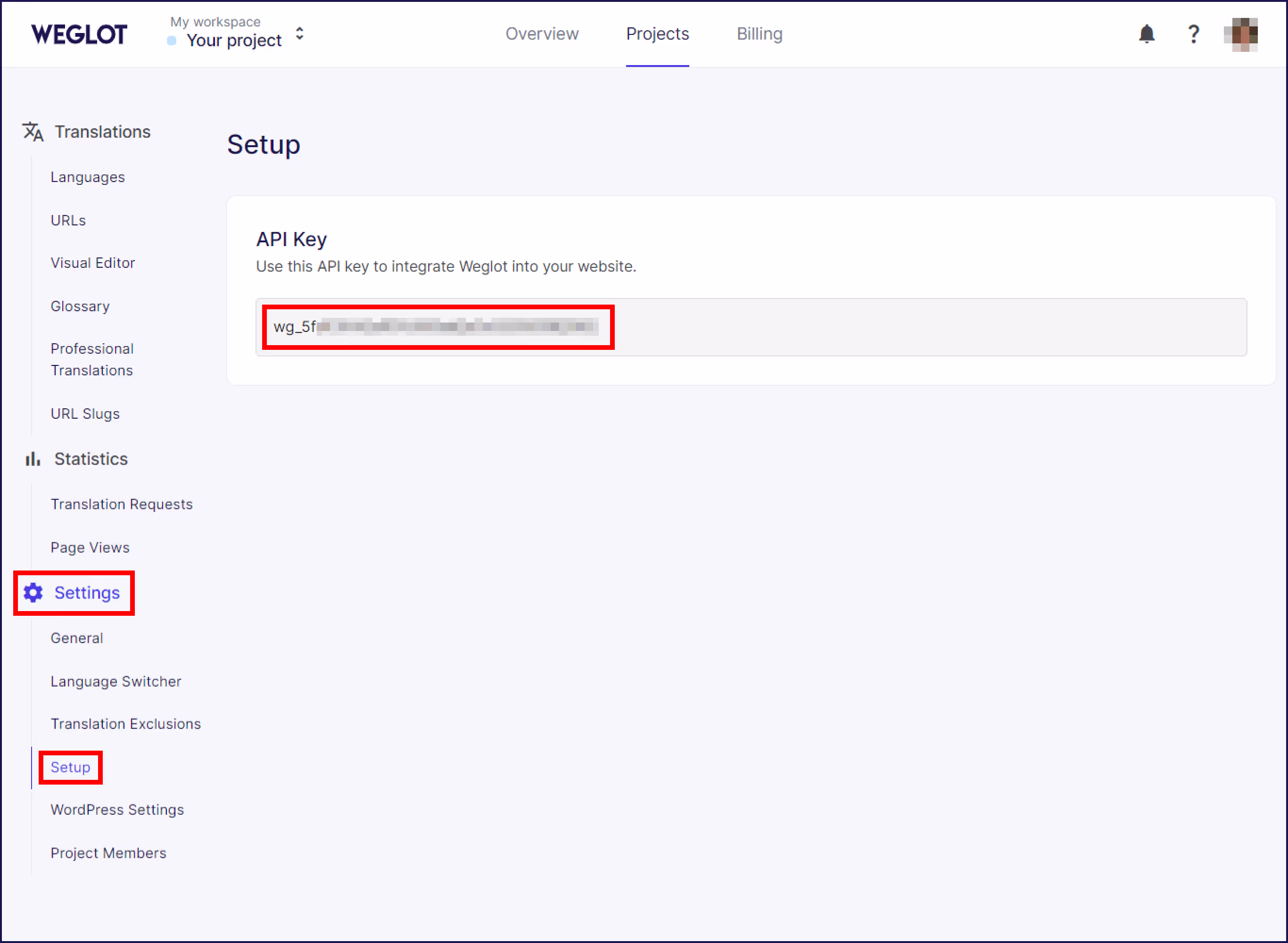 Getting the API key of the new translation process.‍
