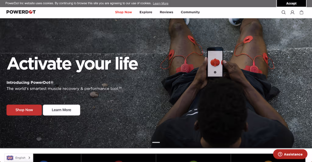 PowerDot Weglot multilingual website client
