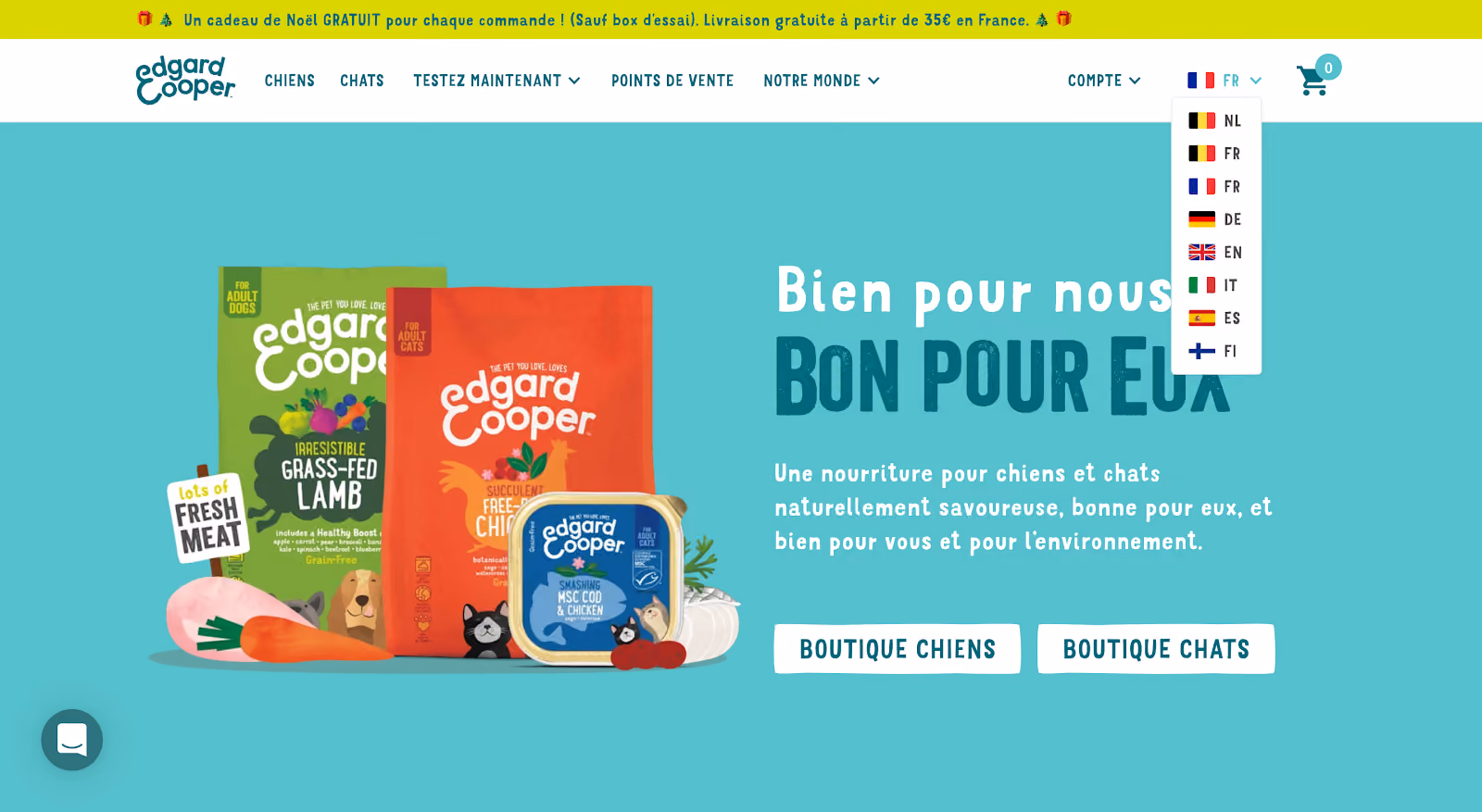 Exemple de site web multilingue : Page d'accueil d'Edgard & Cooper