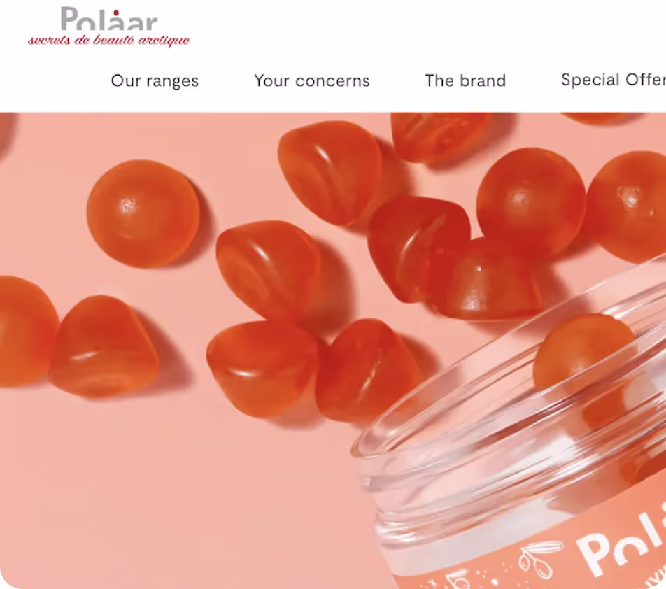 Polaar