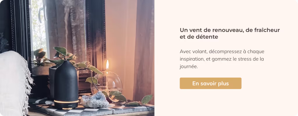 Site web de Volant