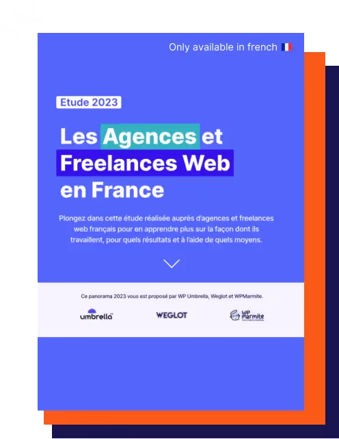 Infographic - French Web Agencies and Freelancers in 2023 Study
