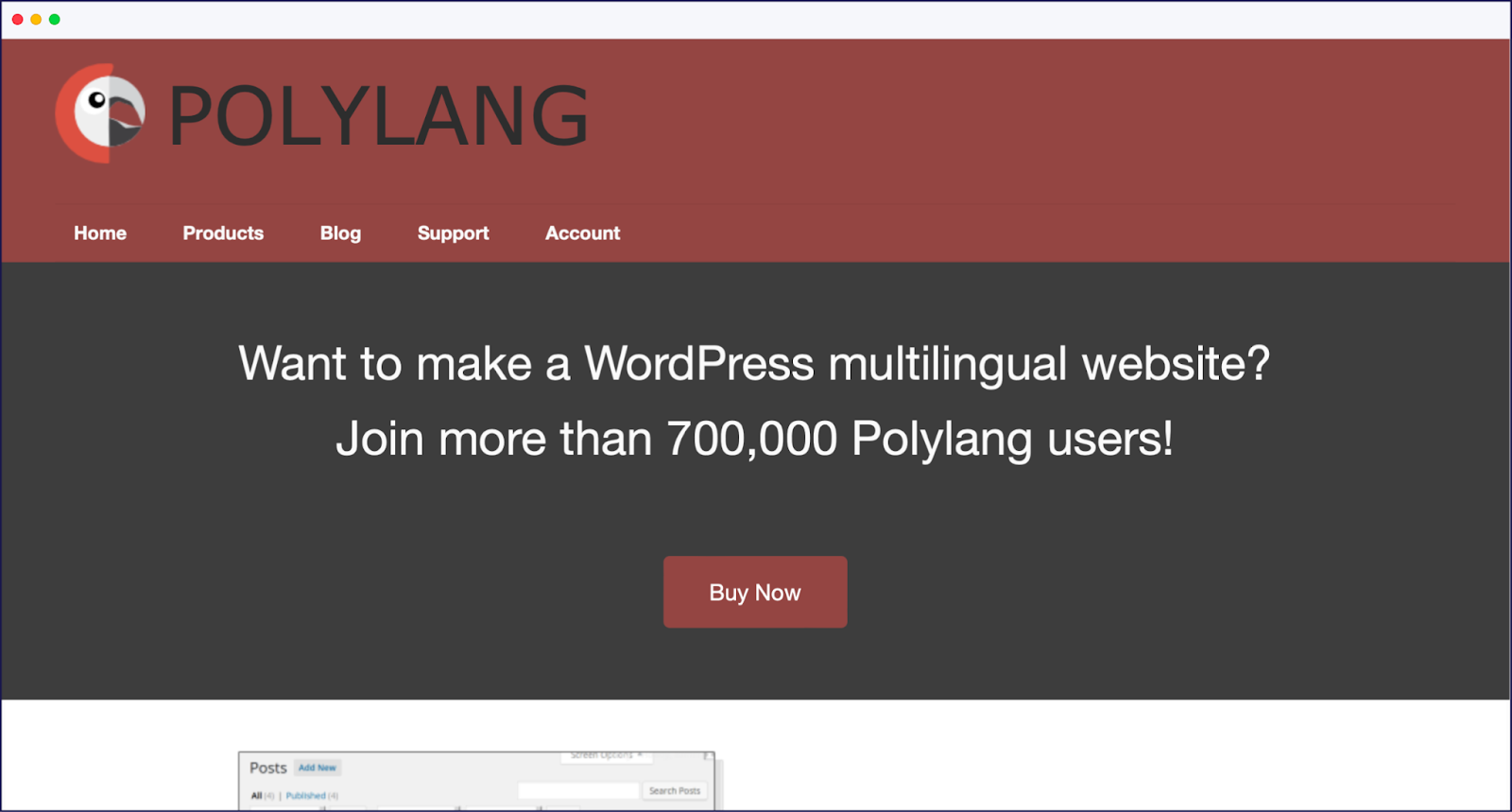 Polylang homepage
