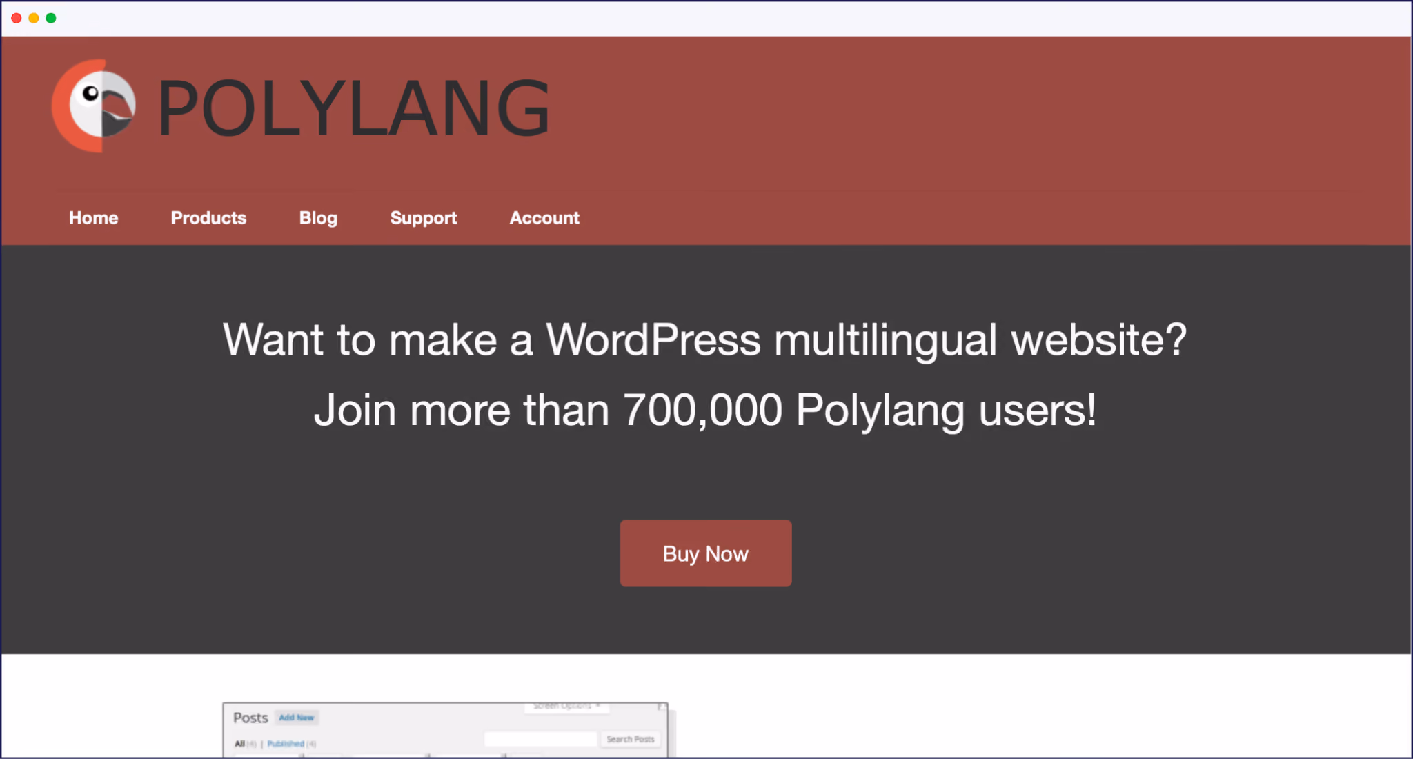 Polylang होमपेज
