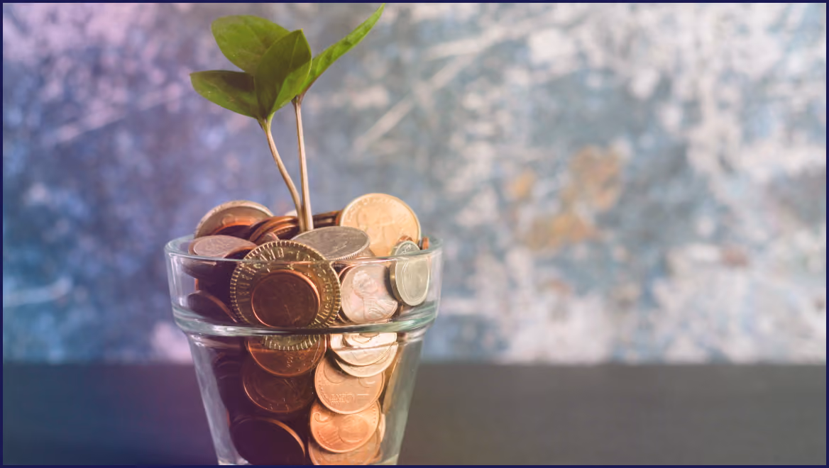 Multilingual Website Costs: What Businesses Should Expect to Pay