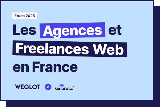 Infographie - Étude sur les agences web et les freelances en France en 2025
