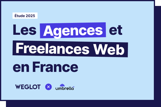 Infographic - French Web Agencies and Freelancers in 2025 Study
