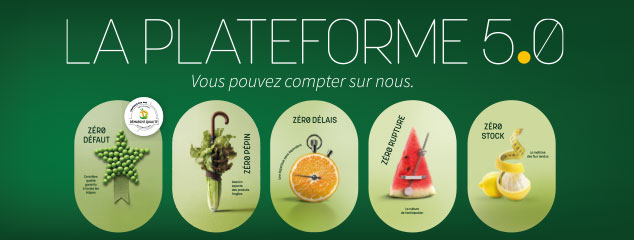 conception rédaction