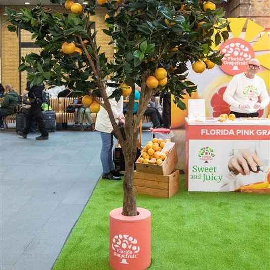 One of our strategic campaigns, showing a display of a Florida grapefruit tree next to a booth promoting Florida pink grapefruit as sweet and juicy.