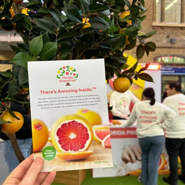 Hand holding a Florida Grapefruit promotional flyer with grapefruit tree and people in background at an outdoor event.