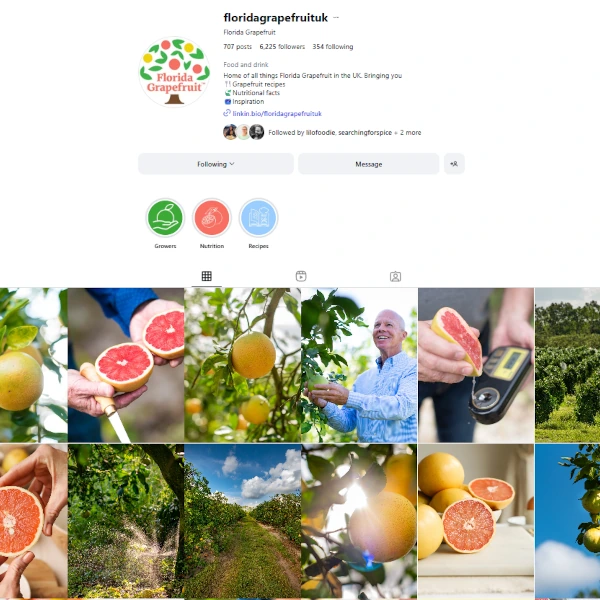 Florida Grapefruit UK Instagram feed displaying scroll-stopping organic content and influencer marketing examples alongside Kith&Kind PR's digital and social media service overview, covering paid social, PPC, and UGC strategies.