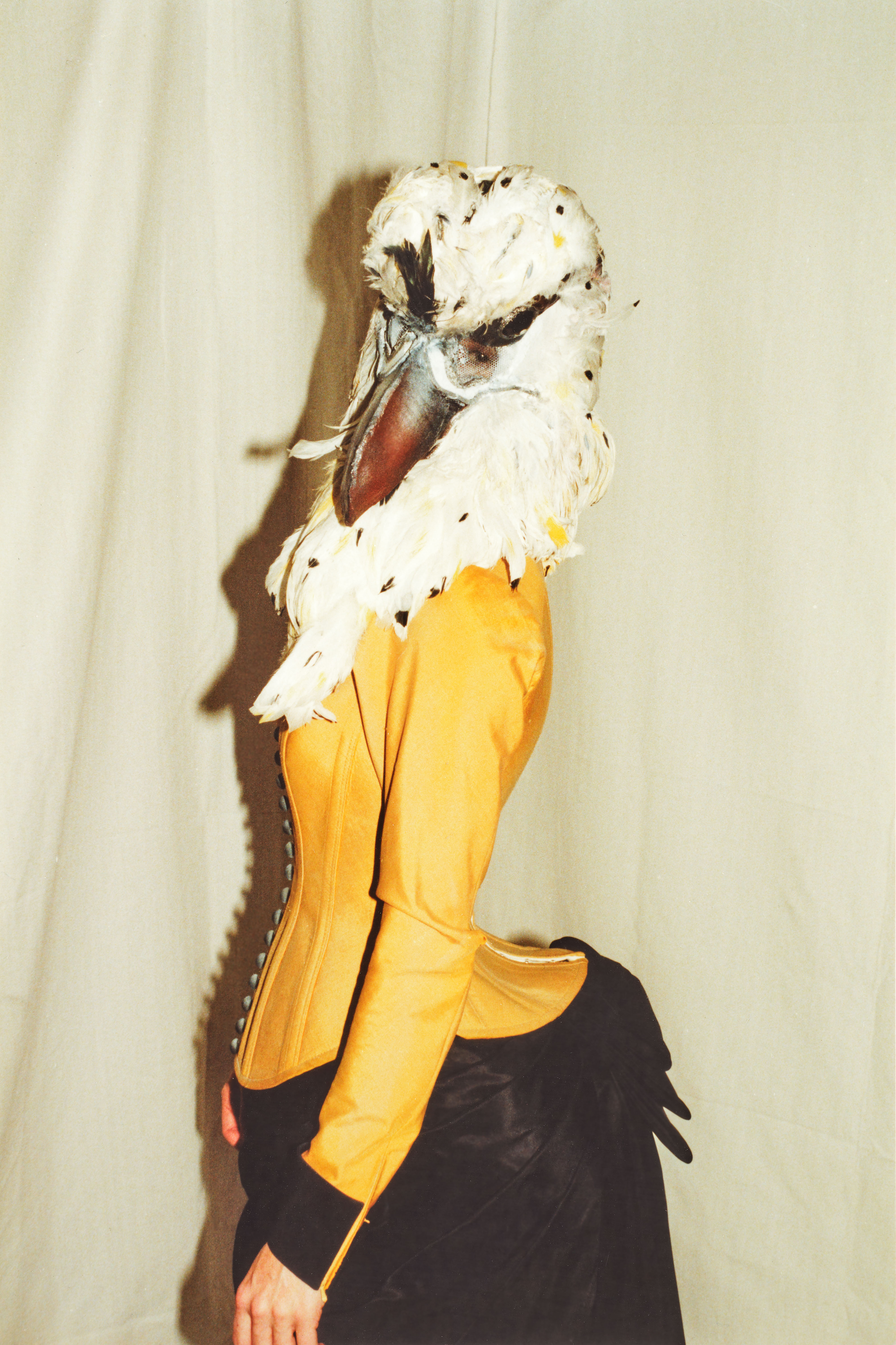 Vogelmasken