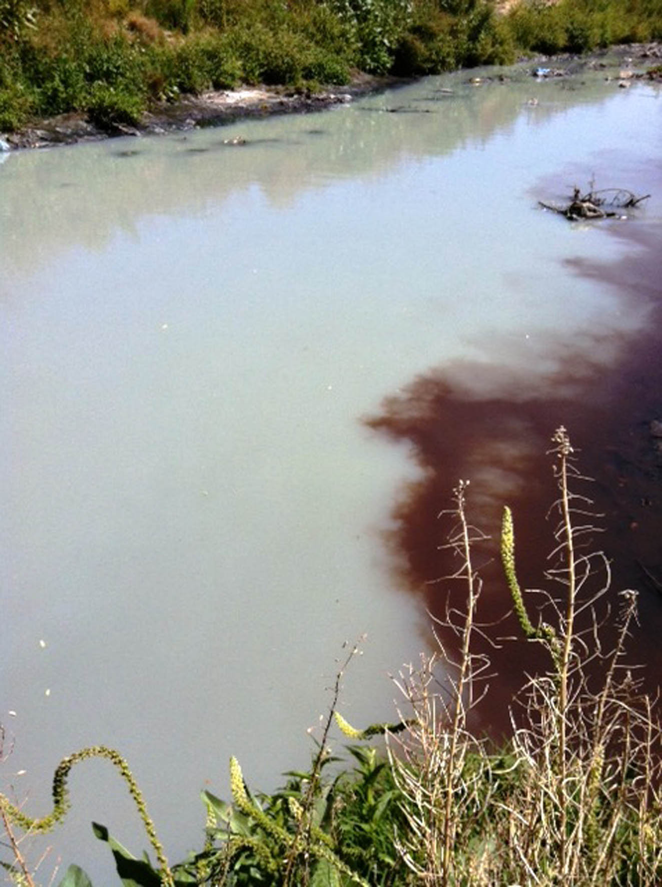 Daños al Río Atoyac: https://www.dgcs.unam.mx/boletin/bdboletin/2016_144.html