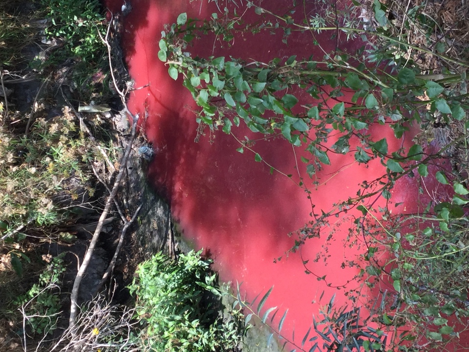 Impactos en el Rió Atoyac: https://www.milenio.com/estados/rio-atoyac-el-lado-oscuro-de-la-mezclilla
