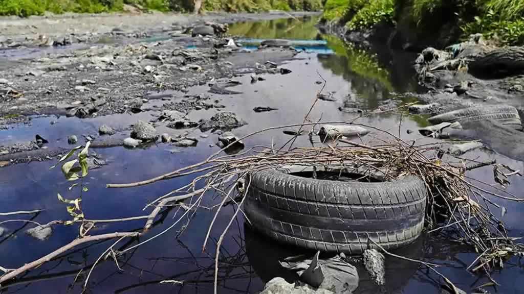 Contaminación en el Río Atoyac: https://desinformemonos.org/se-incumple-saneamiento-de-rio-atoyac-anunciado-en-marzo-por-sheinbaum/